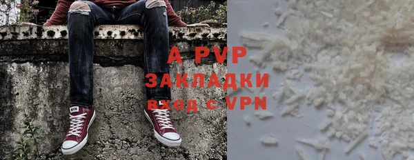 прущие грибы Братск