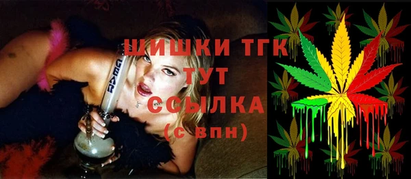 ECSTASY Корсаков